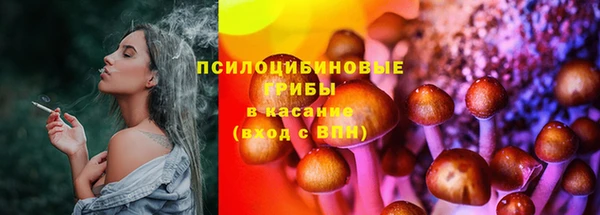 apvp Богданович