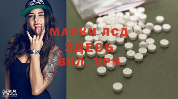 прущие грибы Белоозёрский