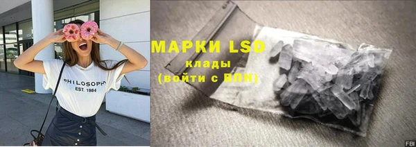 прущие грибы Белоозёрский