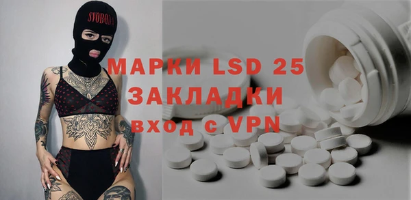 крисы Богородицк