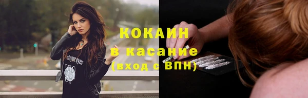 прущие грибы Белоозёрский