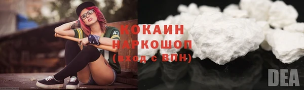 крисы Богородицк