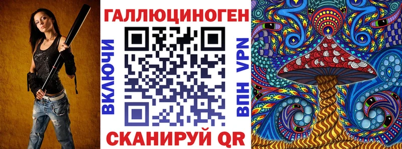 ОМГ ОМГ ТОР  Высоковск  Псилоцибиновые грибы Cubensis 